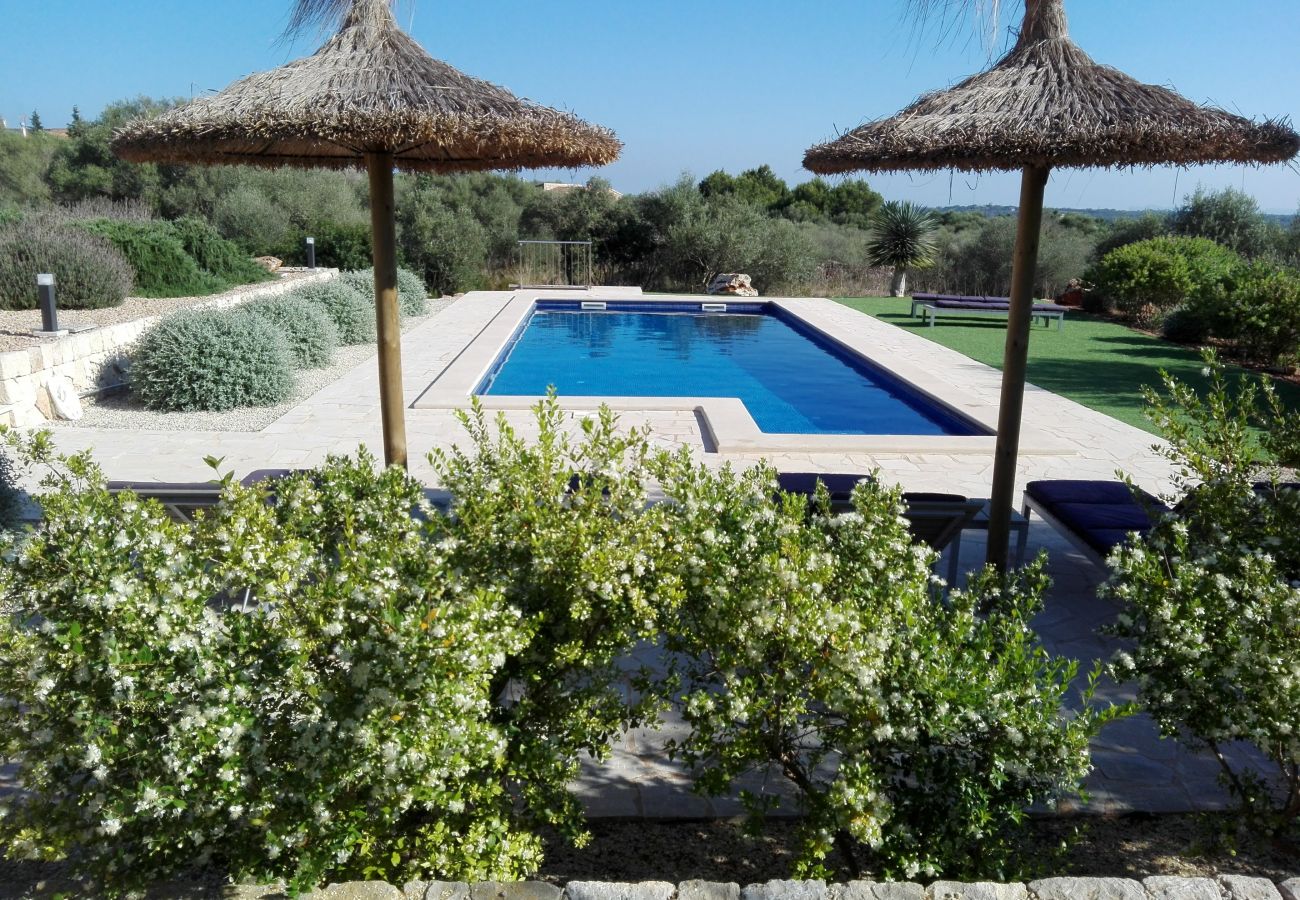 Finca en Ses Salines - Sa Pleta Nova by dracmallorca
