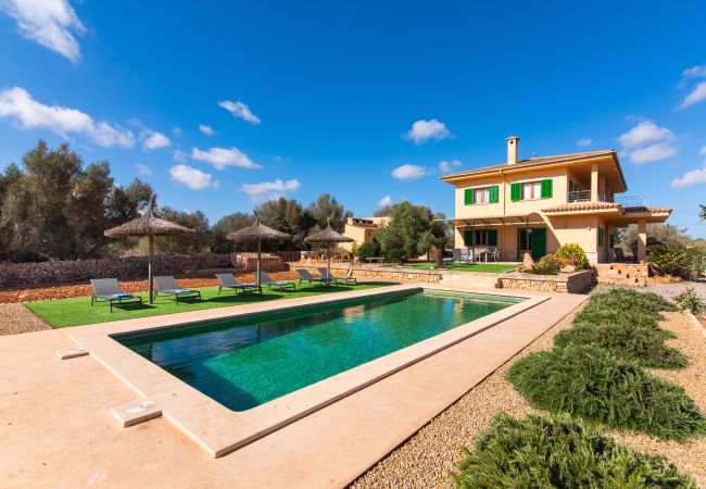 Finca en Ses Salines - Finca Hort de Can Rafelet