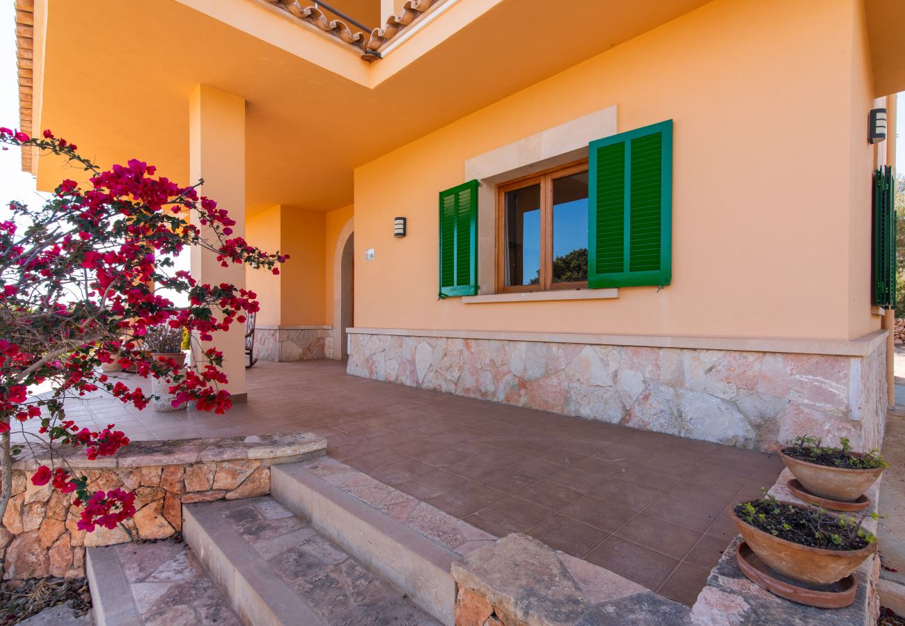 Finca en Ses Salines - Finca Hort de Can Rafelet