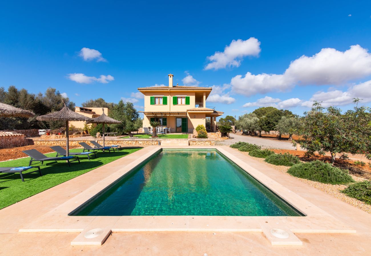 Finca en Ses Salines - Finca Hort de Can Rafelet