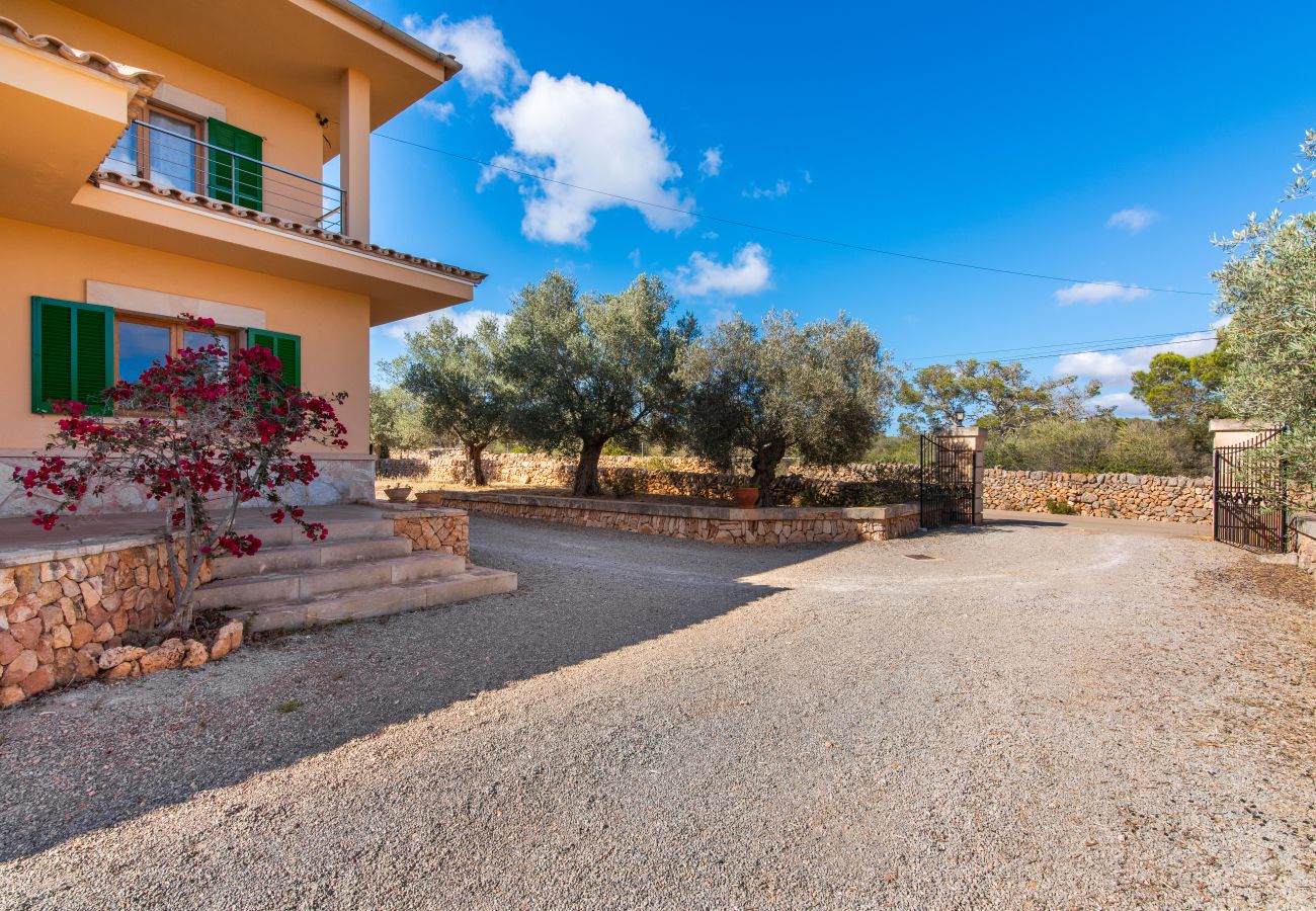 Finca en Ses Salines - Finca Hort de Can Rafelet