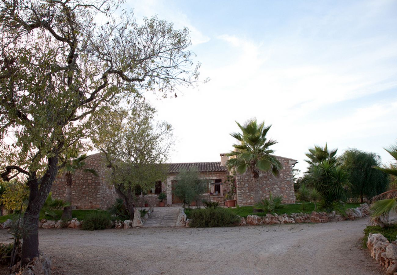 Finca en Campos - Son Barbudet by dracmallorca