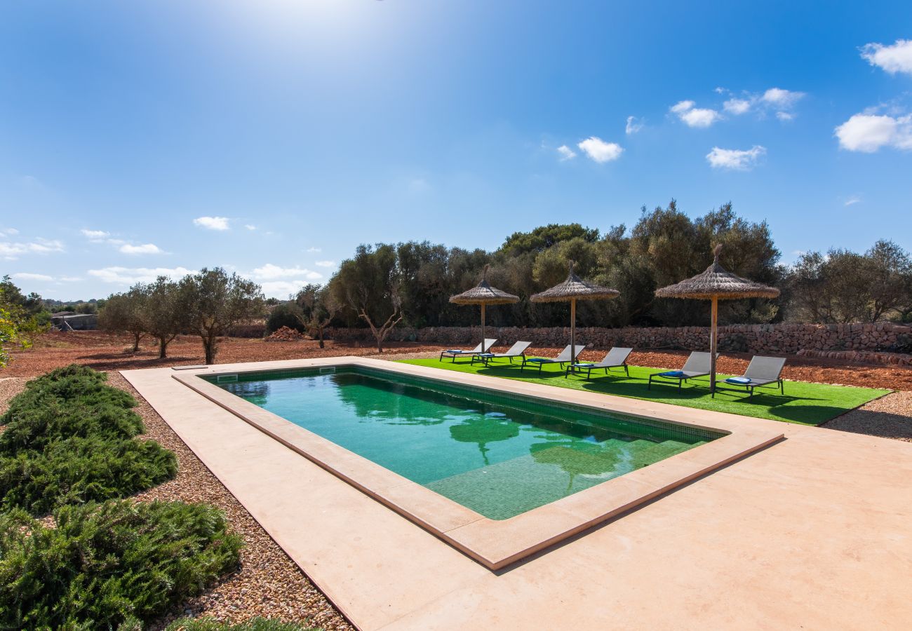 Finca en Ses Salines - Finca Hort de Can Rafelet
