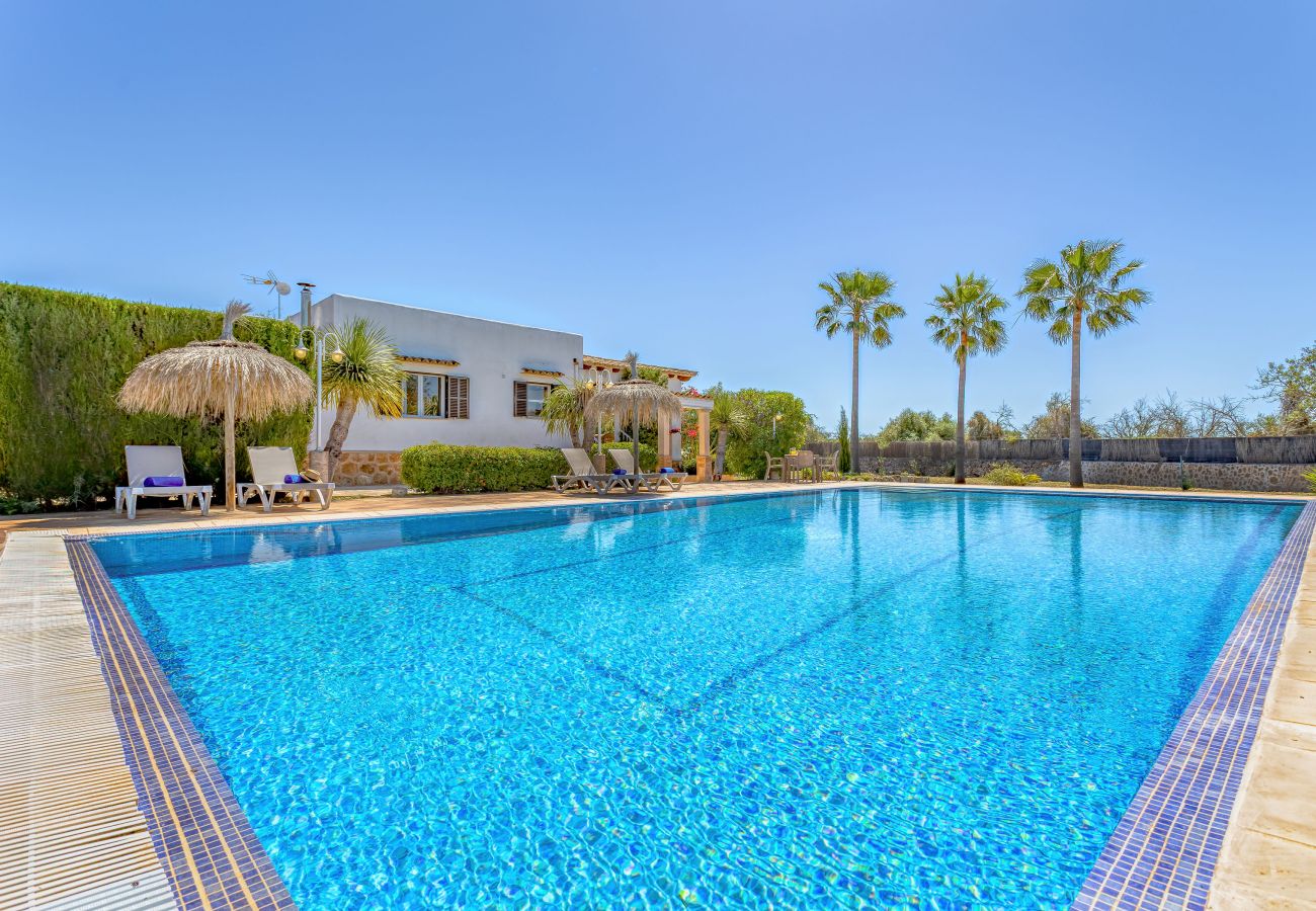 Finca in Santanyi - Chalet Irene by dracmallorca