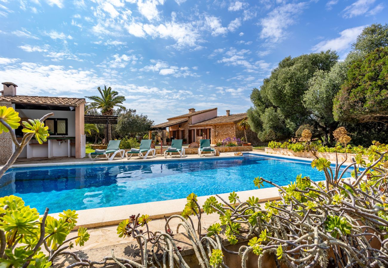 Finca in Santanyi - Sa Bassa Llova by dracmallorca