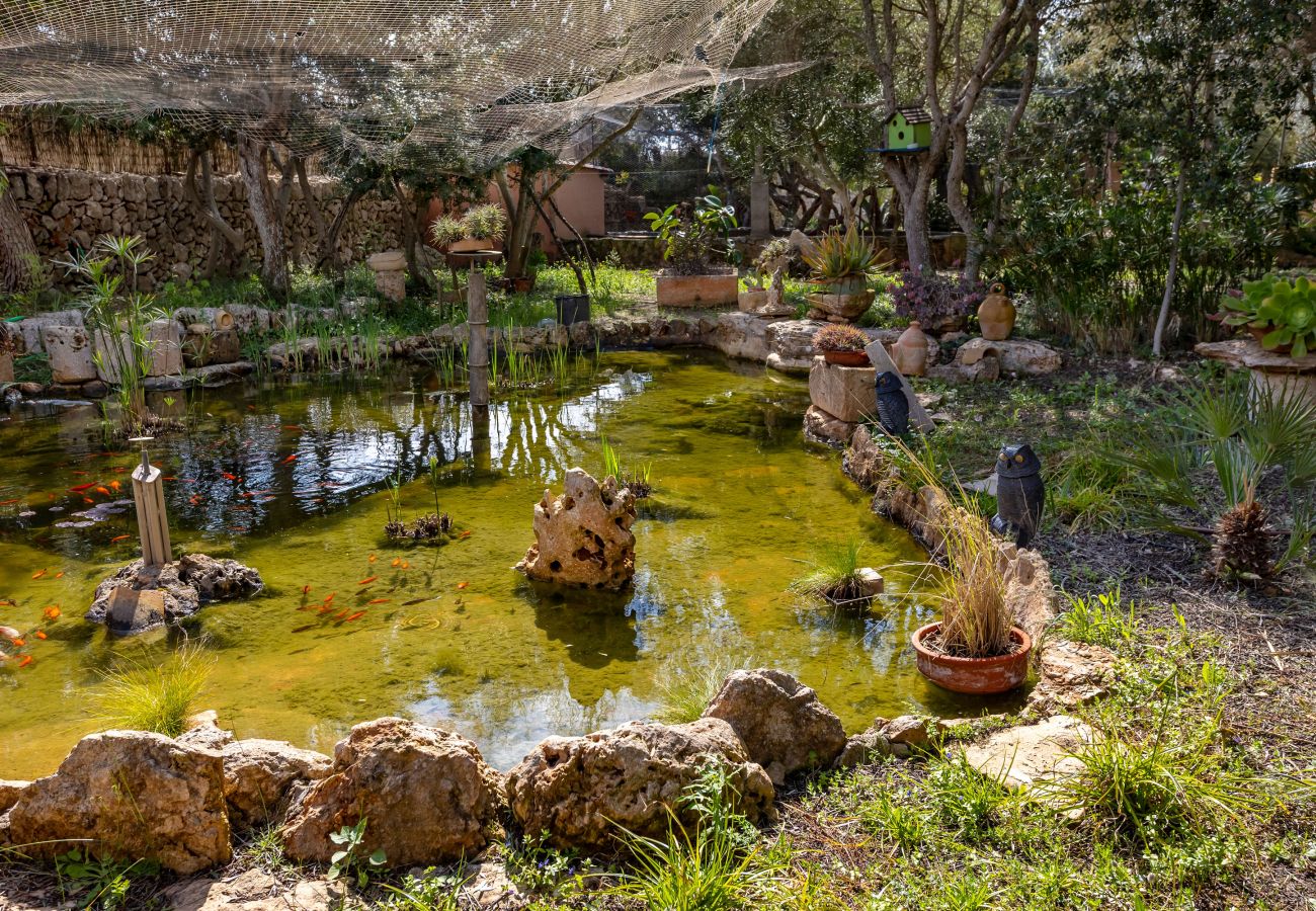 Finca in Santanyi - Sa Bassa Llova by dracmallorca