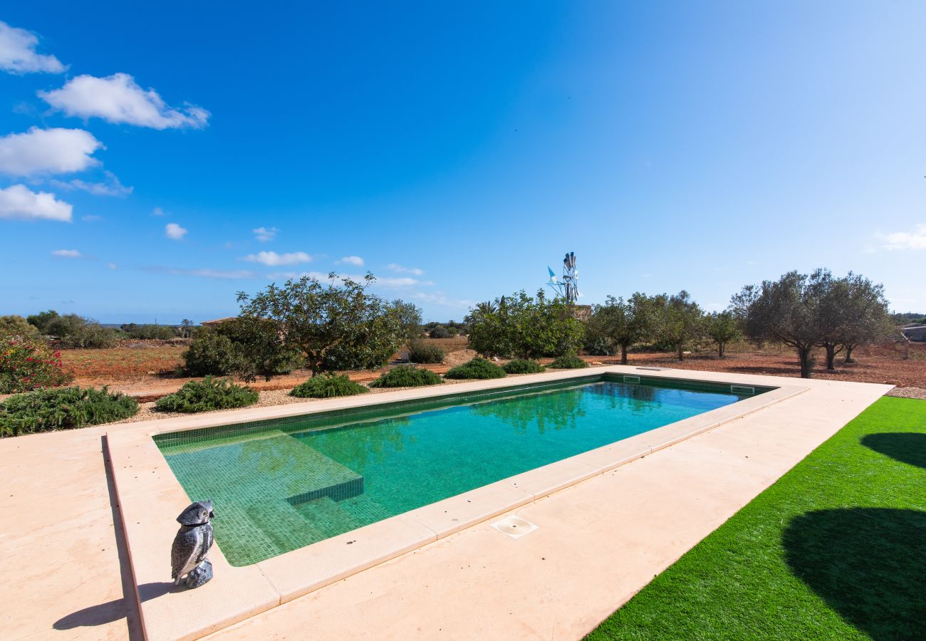 Finca in Ses Salines - Finca Hort de Can Rafelet