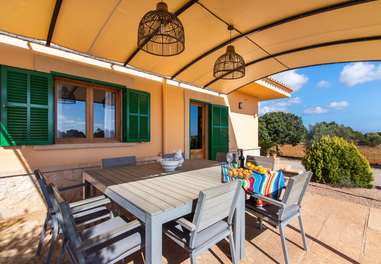 Finca in Ses Salines - Finca Hort de Can Rafelet