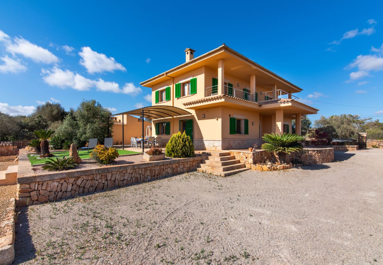Finca in Ses Salines - Finca Hort de Can Rafelet