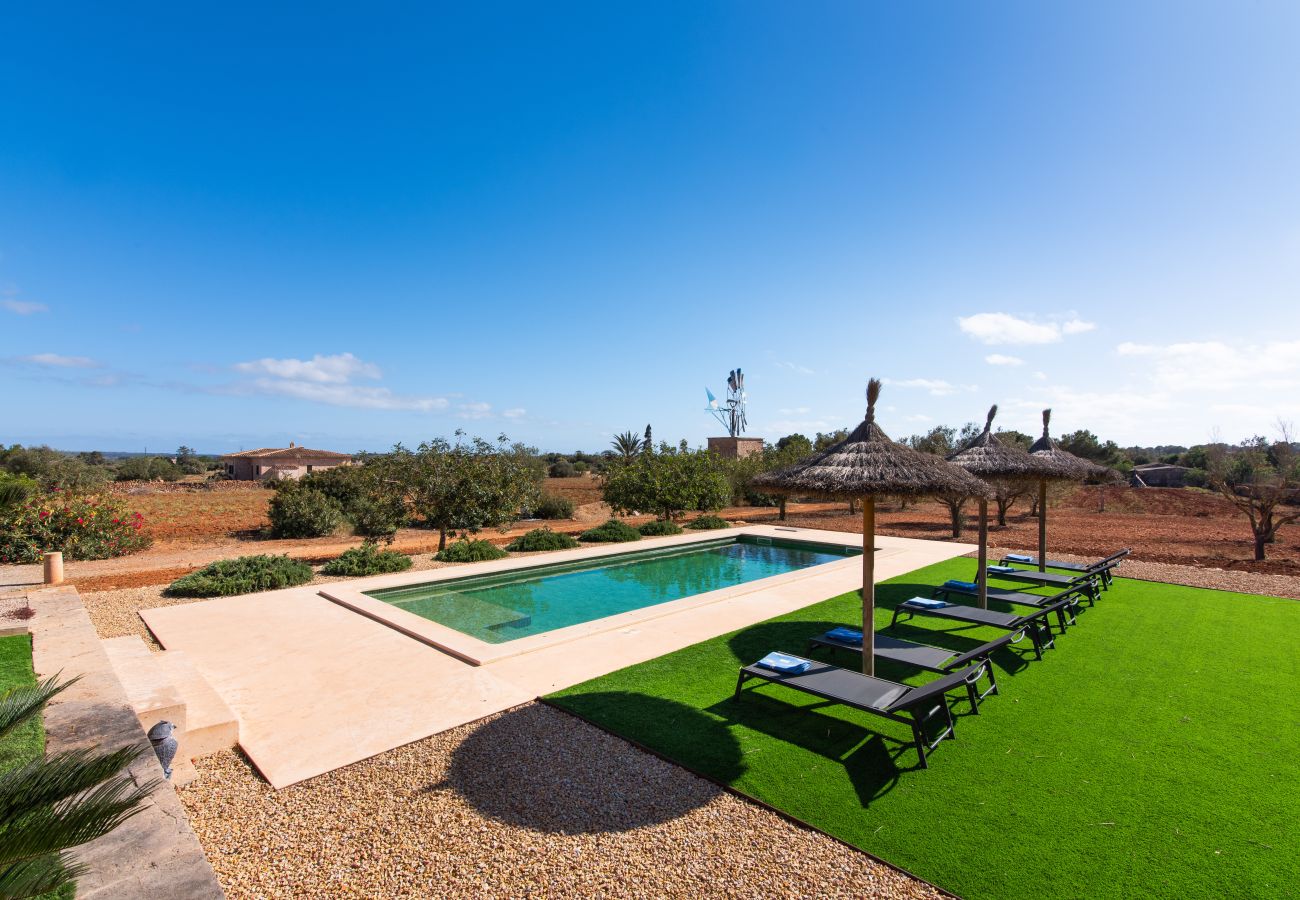 Finca in Ses Salines - Finca Hort de Can Rafelet