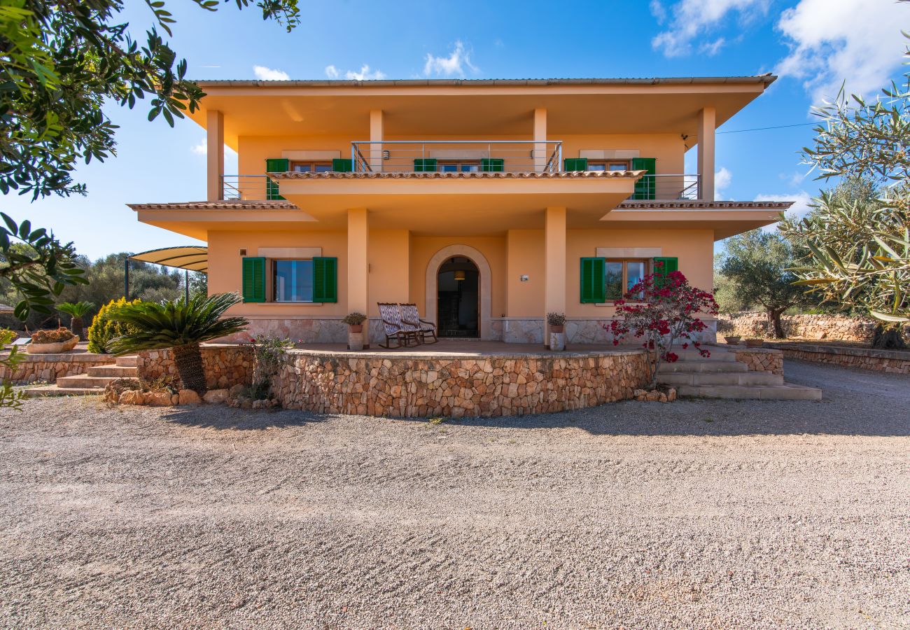 Finca in Ses Salines - Finca Hort de Can Rafelet