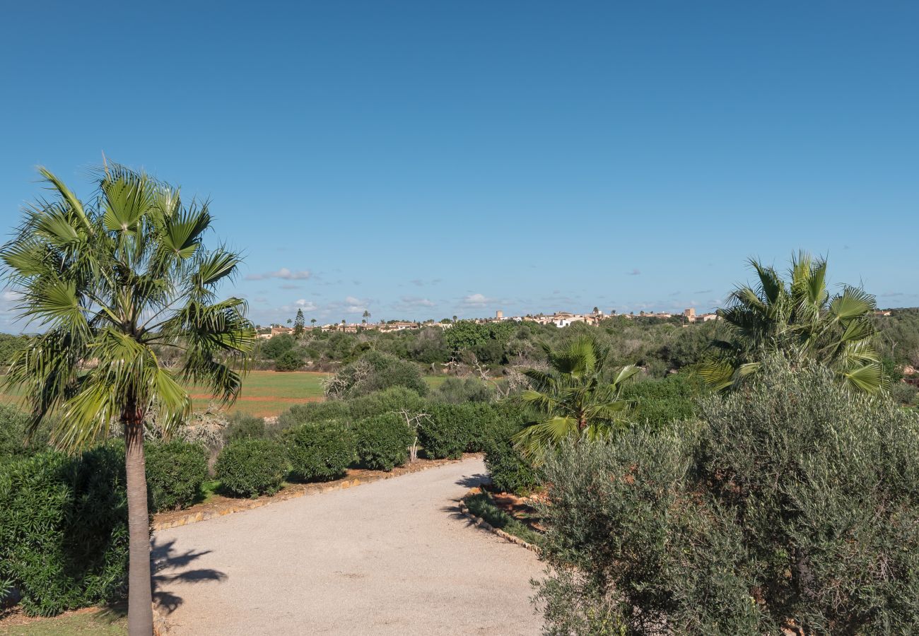 Finca in Es Llombards - Lichtoase in Es Llombards: Pool, Klima & Pizzaofen (10P)