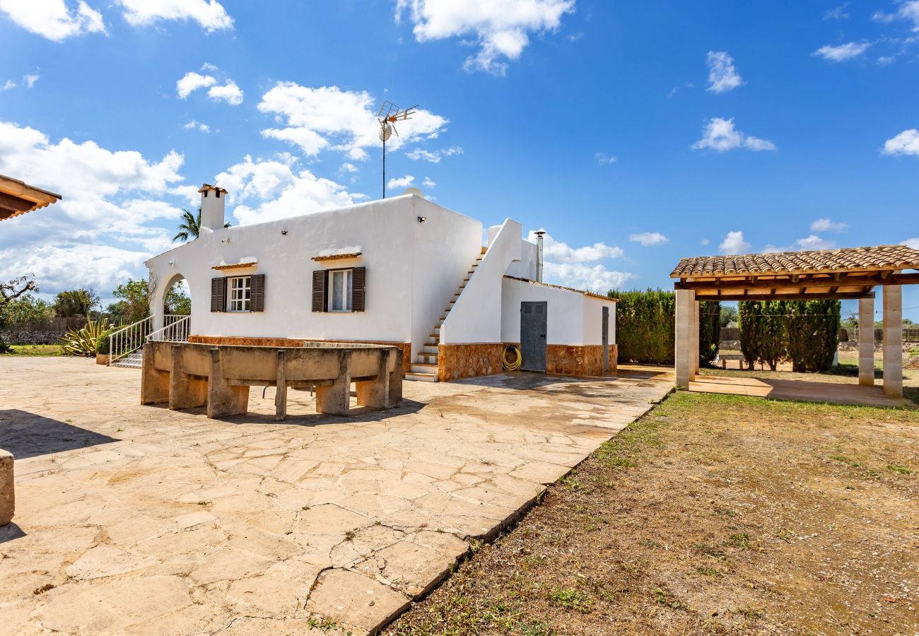 Country house in Santanyi - Chalet Irene by dracmallorca