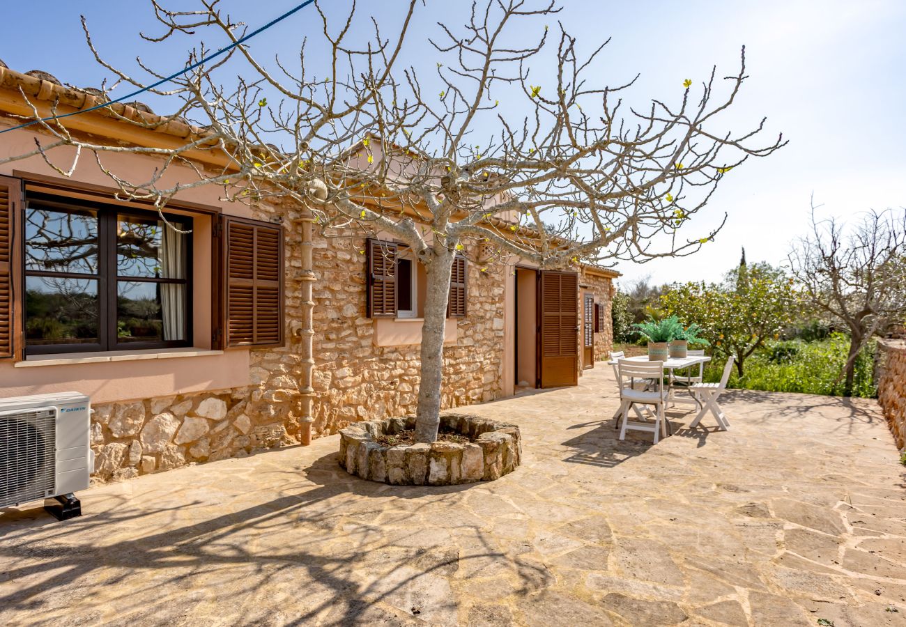 Country house in Santanyi - Sa Bassa Llova by dracmallorca