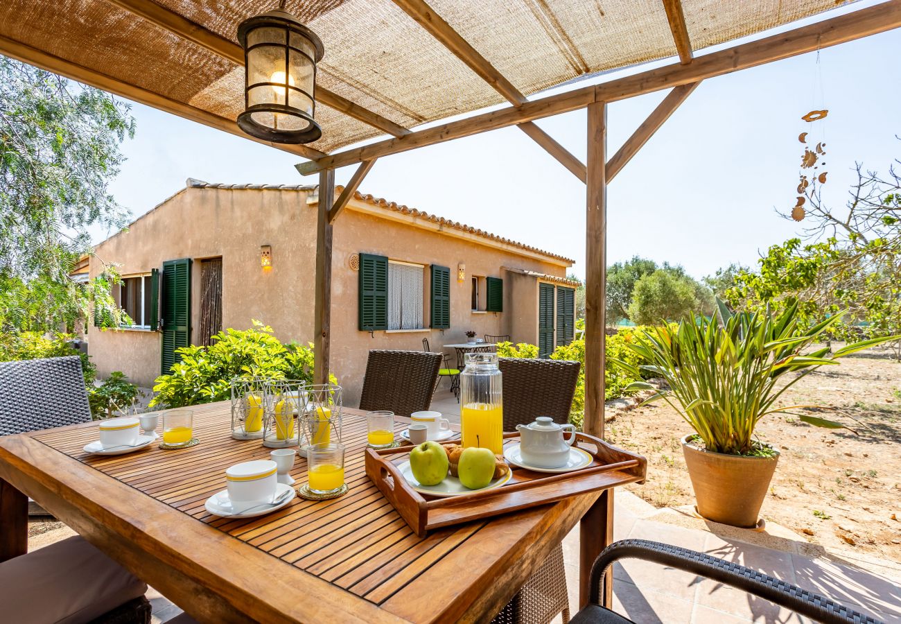 Country house in Cala Santanyi - Chalet Turo by dracmallorca