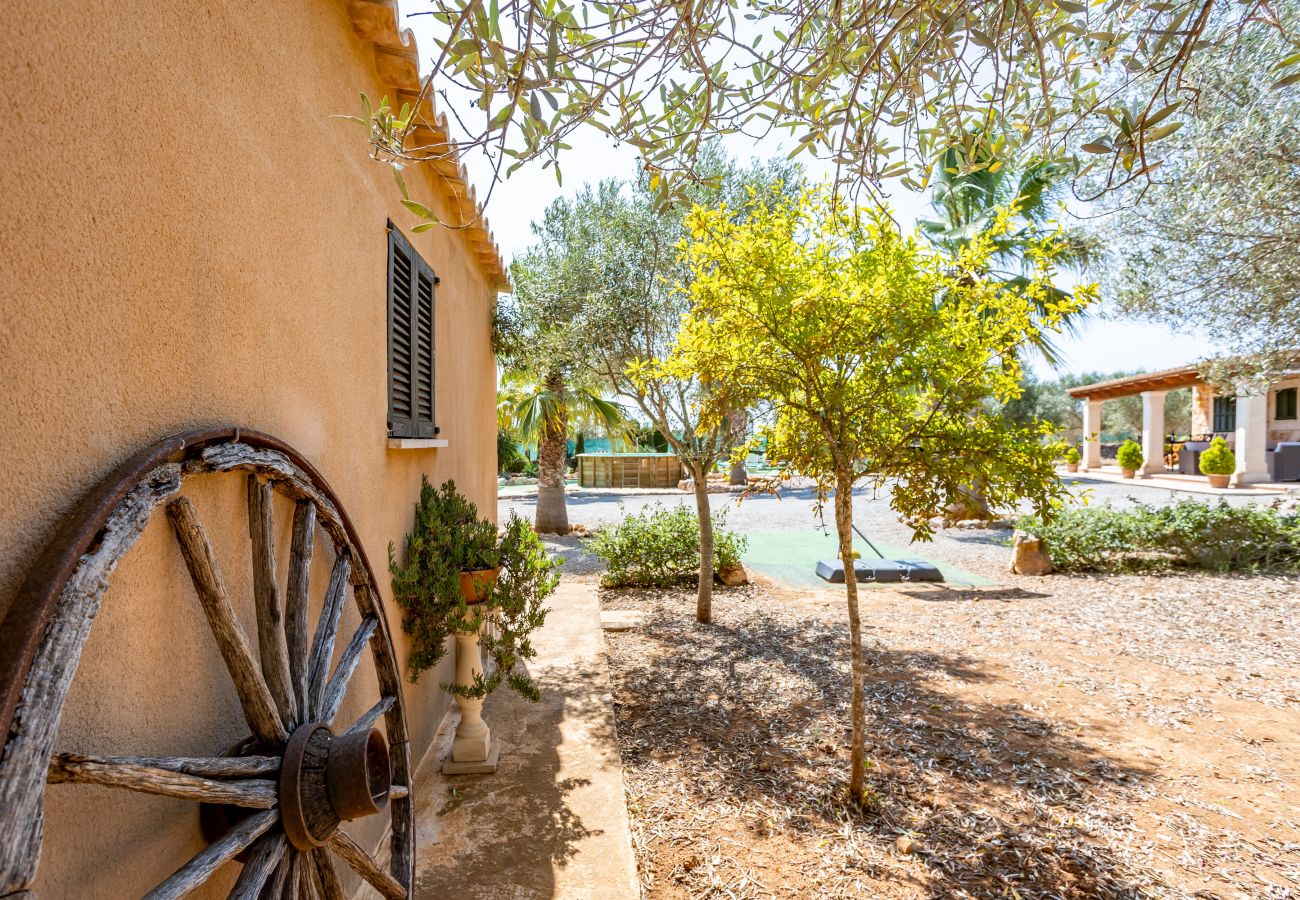 Country house in Cala Santanyi - Chalet Turo by dracmallorca