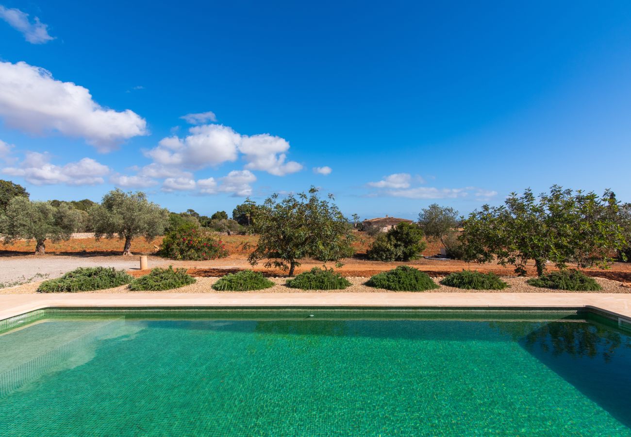 Country house in Ses Salines - Finca Hort de Can Rafelet
