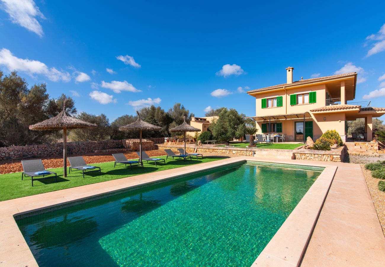 Country house in Ses Salines - Finca Hort de Can Rafelet