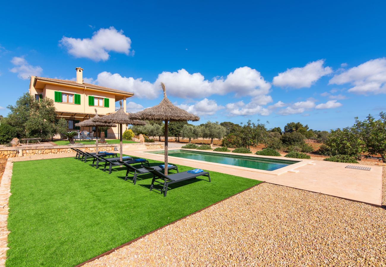Country house in Ses Salines - Finca Hort de Can Rafelet