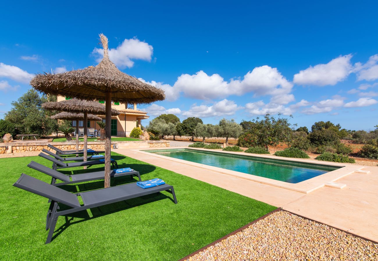 Country house in Ses Salines - Finca Hort de Can Rafelet