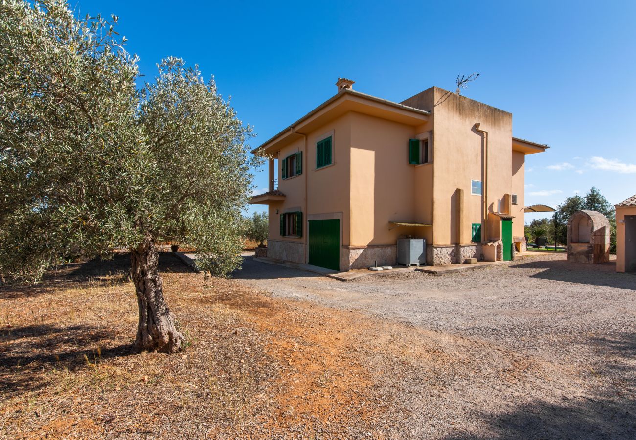 Country house in Ses Salines - Finca Hort de Can Rafelet