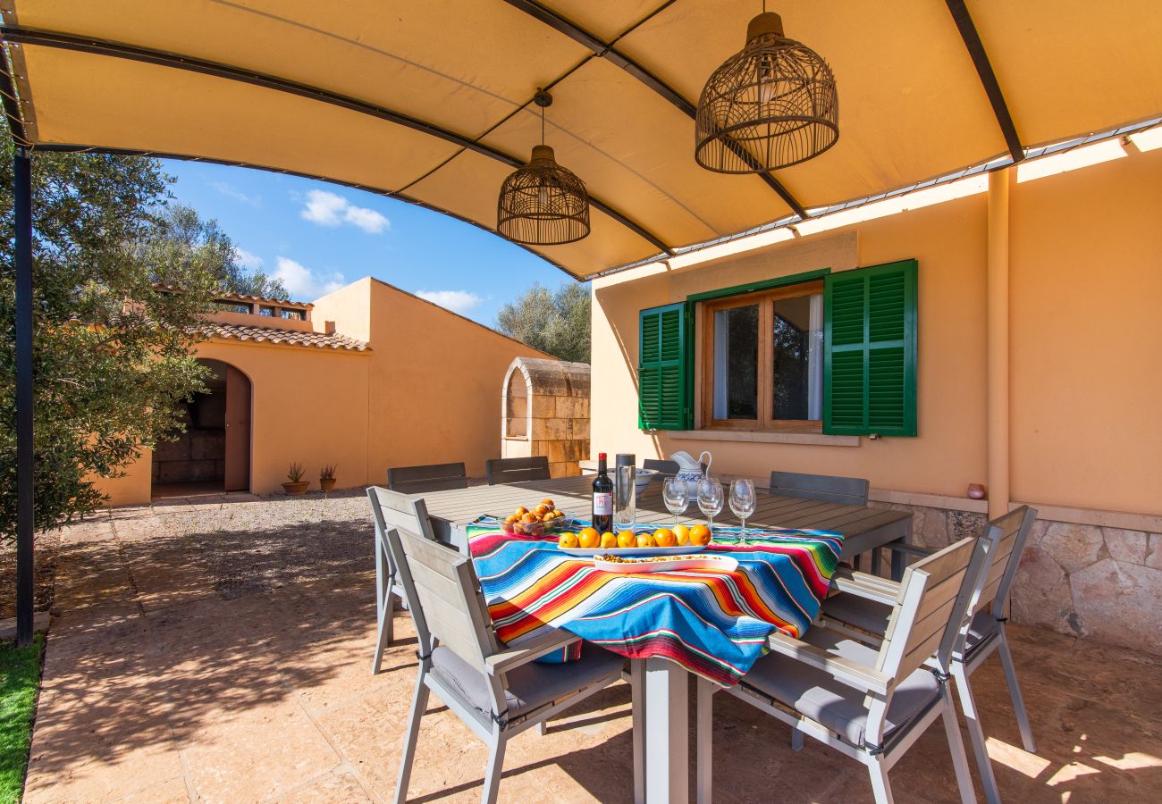 Country house in Ses Salines - Finca Hort de Can Rafelet