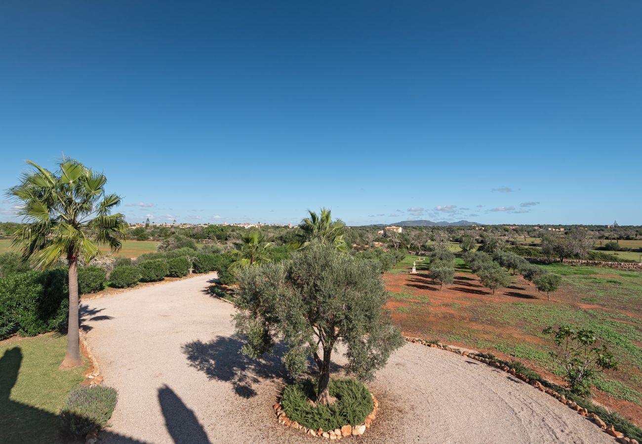 Country house in Es Llombards - Sunny Oasis in Es Llombards: Pool, A/C & Pizza Oven (10p)